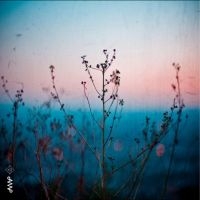 Quiet Quartet - Quiet Quartet i gruppen CD hos Bengans Skivbutik AB (4240792)