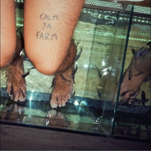 Murlocs The - Calm Ya Farm i gruppen VINYL / Metal,Pop-Rock hos Bengans Skivbutik AB (4242557)