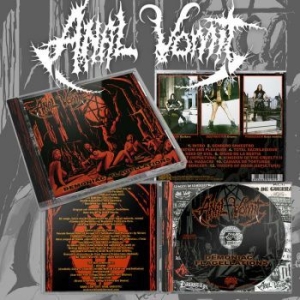 Anal Vomit - Demoniac Flagellations i gruppen CD / Metal hos Bengans Skivbutik AB (4242637)