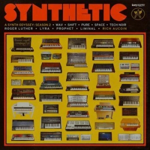 Aucoin Rich - Synthetic Season 2 i gruppen VINYL hos Bengans Skivbutik AB (4244288)