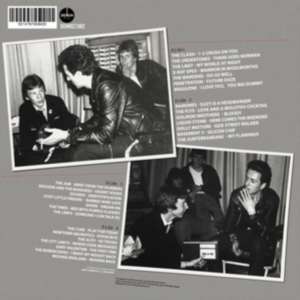 Various Artists - Gary Crowley's Punk & New Wave 2 (1 i gruppen VINYL / Metal hos Bengans Skivbutik AB (4244323)