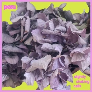 Pozi - Smiling Pools i gruppen CD / Metal hos Bengans Skivbutik AB (4244365)