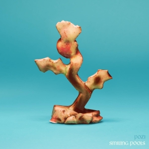 Pozi - Smiling Pools i gruppen CD hos Bengans Skivbutik AB (4244365)