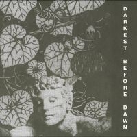 Dark Day - Darkest Before Dawn i gruppen CD hos Bengans Skivbutik AB (4244379)