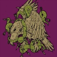 Zozobra - Bird Of Prey (Vinyl Lp) i gruppen VINYL / Toppselgere hos Bengans Skivbutik AB (4245245)