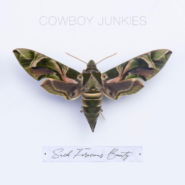 Cowboy Junkies - Such Ferocious Beauty (Tan Transluc i gruppen VINYL / Toppselgere hos Bengans Skivbutik AB (4245485)