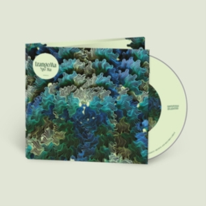 Izangma - Ngo Ma i gruppen CD hos Bengans Skivbutik AB (4248613)