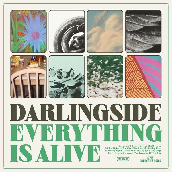 Darlingside - Everything Is Alive i gruppen CD / Worldmusic/ FolkeMusikkk hos Bengans Skivbutik AB (4249682)