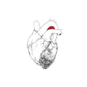Swans - The Beggar i gruppen Minishops / Swans hos Bengans Skivbutik AB (4250948)
