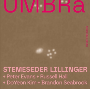 Elias Stemeseder & Christian Lillin - Elias Stemeseder & Christian Lillin i gruppen CD hos Bengans Skivbutik AB (4254568)