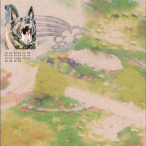 Feeble Little Horse - Girl With Fish i gruppen CD hos Bengans Skivbutik AB (4255257)