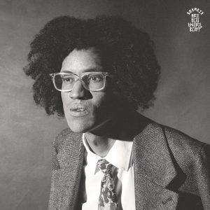 Beharie - Are You There, Boy ? i gruppen VINYL / Pop-Rock hos Bengans Skivbutik AB (4255593)