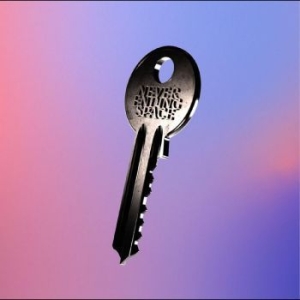 Chain Of Flowers - Never Ending Space i gruppen VINYL / Pop hos Bengans Skivbutik AB (4256029)