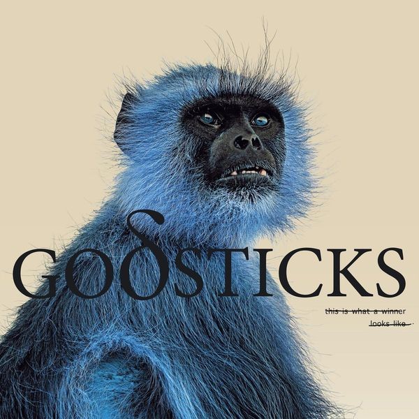 Godsticks - This Is What A Winner Looks Like i gruppen CD / Pop hos Bengans Skivbutik AB (4256041)