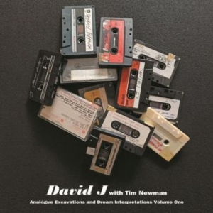 David J With Tim Newman - Analogue Excavations & Dream... Vol i gruppen VINYL hos Bengans Skivbutik AB (4256604)