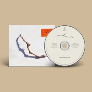 Harvey Pj - I Inside The Old Year Dying i gruppen CD / Pop-Rock hos Bengans Skivbutik AB (4258389)
