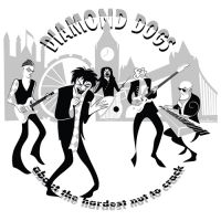 Diamond Dogs - About The Hardest Nut To Crack i gruppen Diamond Dogs hos Bengans Skivbutik AB (4259380)