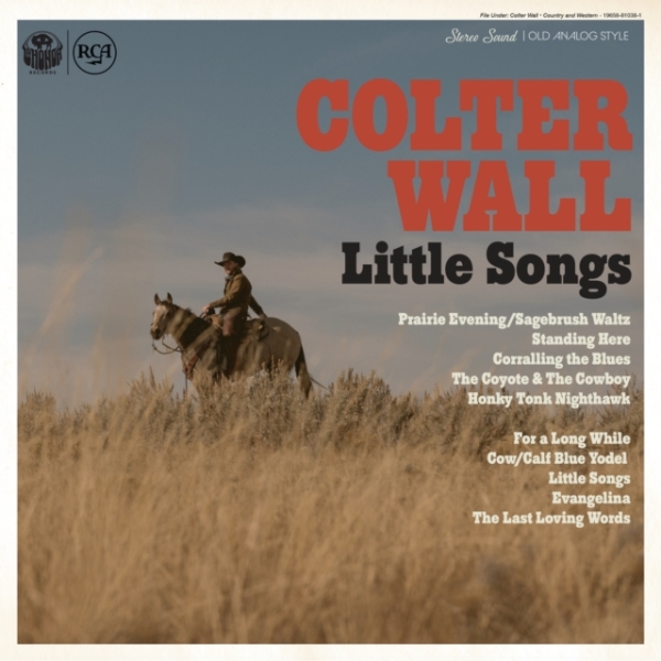 Wall Colter - Little Songs i gruppen CD / Toppselgere hos Bengans Skivbutik AB (4260847)