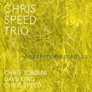 Chris Speed Trio - Despite Obstacles i gruppen CD hos Bengans Skivbutik AB (4261651)