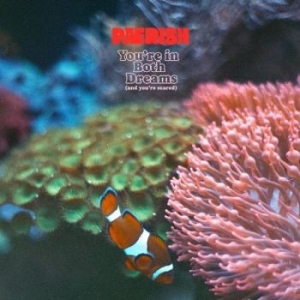 Paerish - You're In Both Dreams (And You're S i gruppen VINYL / Metal,Pop-Rock hos Bengans Skivbutik AB (4261999)