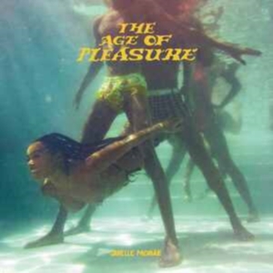 JANELLE MONÁE - THE AGE OF PLEASURE i gruppen CD / RNB, Disco & Soul hos Bengans Skivbutik AB (4262933)
