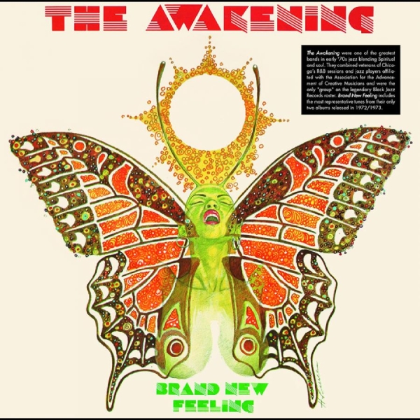 Awakening The - Brand New Feeling i gruppen VINYL / Toppselgere hos Bengans Skivbutik AB (4265146)