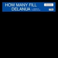 Delanua - How Many Fill i gruppen VINYL hos Bengans Skivbutik AB (4265343)