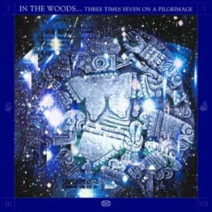 In The Woods - Three Times Seven On A Pilgrimage ( i gruppen VINYL / Metal hos Bengans Skivbutik AB (4266642)