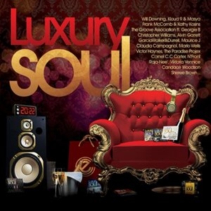 Various artists - Luxury Soul 2022 i gruppen CD hos Bengans Skivbutik AB (4271460)