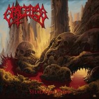 Graceless - Shadowlands i gruppen CD hos Bengans Skivbutik AB (4275054)