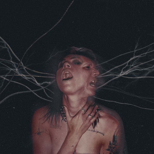 Hot Milk - A Call To The Void i gruppen CD / Pop hos Bengans Skivbutik AB (4278358)
