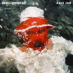 Pale Jay - Bewilderment i gruppen CD hos Bengans Skivbutik AB (4278460)