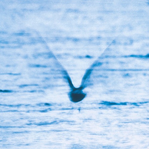 Ryo Fukui - Mellow Dream i gruppen VINYL / Jazz/Blues hos Bengans Skivbutik AB (4278744)