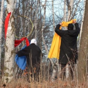 Kinsella Tim & Jenny Pulse - Giddy Skelter i gruppen CD hos Bengans Skivbutik AB (4282804)