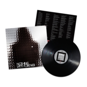 Teenage Fanclub - Nothing Lasts Forever i gruppen VINYL / Pop-Rock hos Bengans Skivbutik AB (4284557)