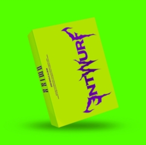 NMIXX - ENTWURF Limited Ver. i gruppen Minishops / K-Pop Minishops / NMIXX hos Bengans Skivbutik AB (4285575)