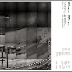 Radian - Distorted Rooms i gruppen VINYL hos Bengans Skivbutik AB (4285807)