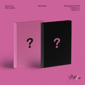 Stray Kids - MAXIDENT Random ver. i gruppen Minishops / K-Pop Minishops / Stray Kids hos Bengans Skivbutik AB (4286947)