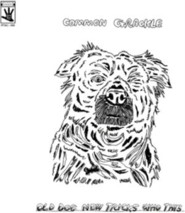 Common Grackle - Old Dog New Tricks Who This i gruppen VINYL / Pop-Rock hos Bengans Skivbutik AB (4287337)