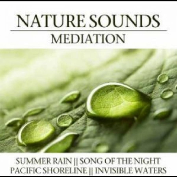 Various Artists - Nature Sounds Meditation i gruppen CD / Toppselgere hos Bengans Skivbutik AB (4290593)