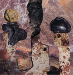 Singer Liam - Finish Him i gruppen CD / Pop-Rock hos Bengans Skivbutik AB (4294001)