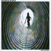 Perpetual Groove - All This Everything i gruppen CD / Pop-Rock hos Bengans Skivbutik AB (4294412)