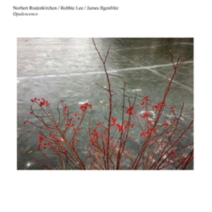 Norbert Rodenkirchen/Robbie Lee/Jam - Opalescence i gruppen CD hos Bengans Skivbutik AB (4294595)