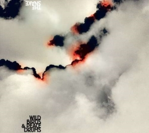 Wildbirds & Peacedrums - The Snake i gruppen CD hos Bengans Skivbutik AB (4296170)