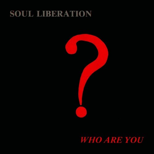 Soul Liberation - Who Are You? i gruppen Annet / hos Bengans Skivbutik AB (4298475)