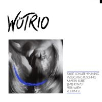 Wütrio - Wütrio i gruppen CD hos Bengans Skivbutik AB (4298686)