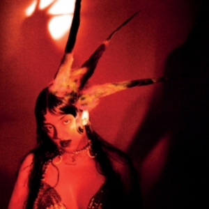 Lobo Fran - Burning It Feels Like i gruppen CD / Pop-Rock hos Bengans Skivbutik AB (4301033)