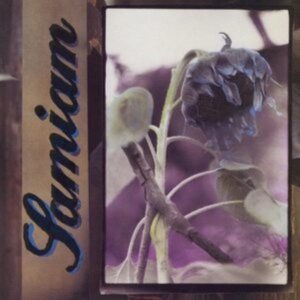 Samiam - Samiam (Splatter Vinyl) i gruppen VINYL / Metal hos Bengans Skivbutik AB (4302086)