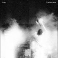 Gate - The Numbers i gruppen VINYL / Pop-Rock hos Bengans Skivbutik AB (4302266)