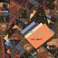 Animal Collective - Isn't It Now? i gruppen VINYL hos Bengans Skivbutik AB (4303165)